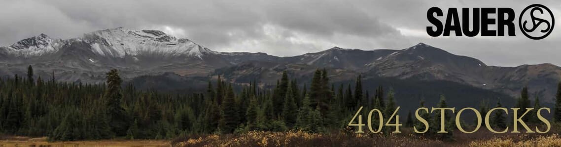 Sauer 404 Stocks