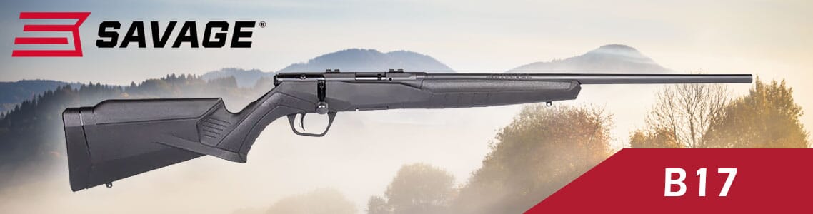 Savage Arms B17