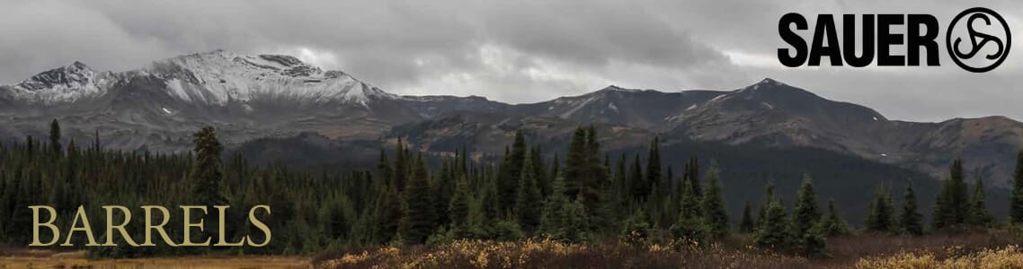Sauer Barrels