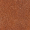 Russet