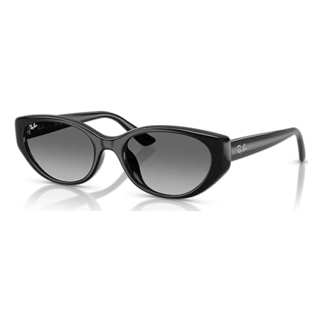 Ray-Ban Black Grey Gradient 0RB4457D-66771155