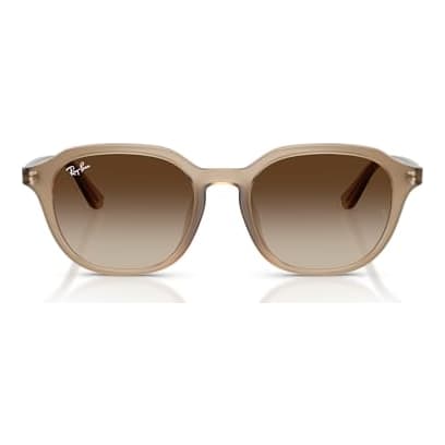 Ray-Ban Turtledove Gradient Brown 0RB4459D-61661354