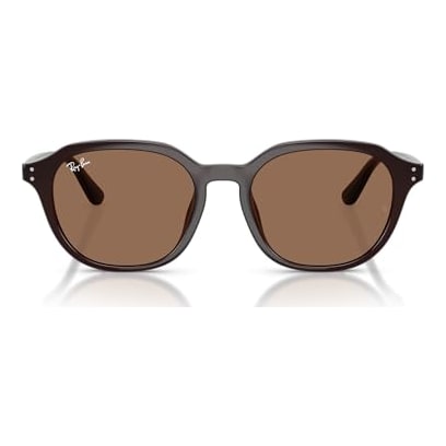 Ray-Ban Opal Brown Dark Brown 0RB4459D-62317354