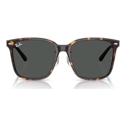 Ray-Ban Havana Dark Grey 0RB2206D-7108757
