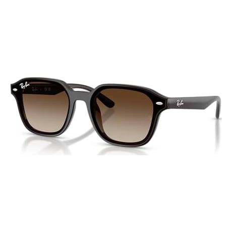Ray-Ban Transparent Dark Brown Gradient Brown 0RB4458D-7141365