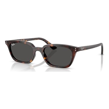 Ray-Ban Havana Dark Grey 0RB4456-13598750