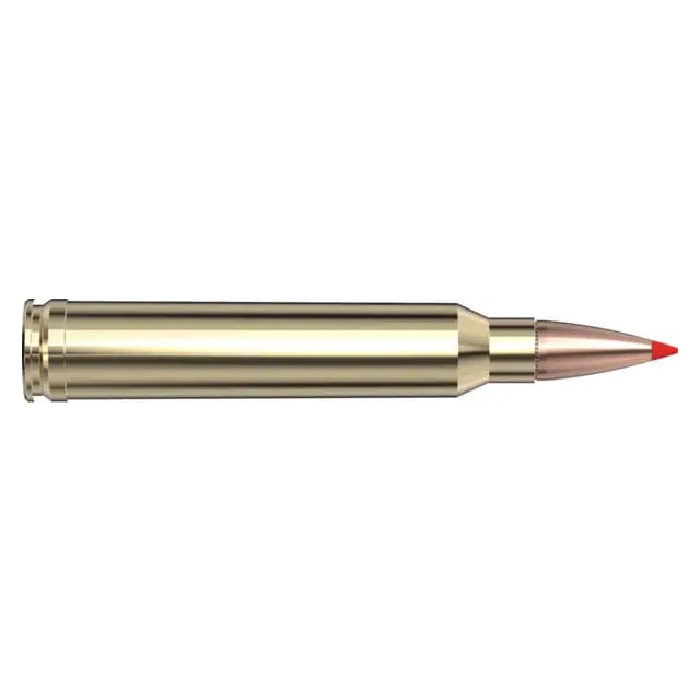 Hornady American Whitetail .300 Win Mag 165gr Ammunition w/SST Bullets (20/Box) 82024 - Main Image