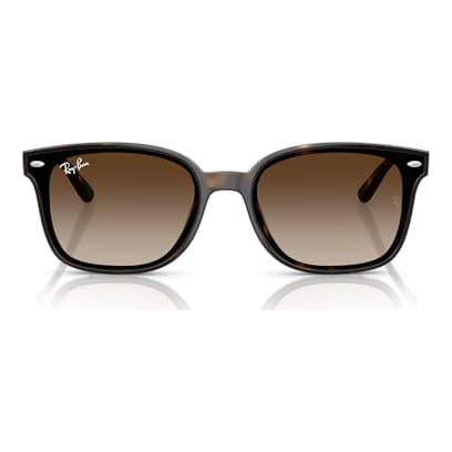 Ray-Ban Havana Gradient Brown 0RB4461D-7101364