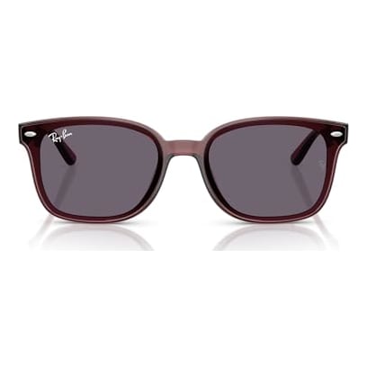 Ray-Ban Transparent Dark Brown Violet 0RB4461D-65937364