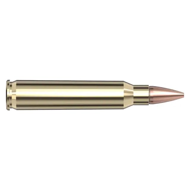Hornady American Gunner .223 Rem 55gr Ammunition w/HP Match Bullets (50/Box) 80237 - Main Image