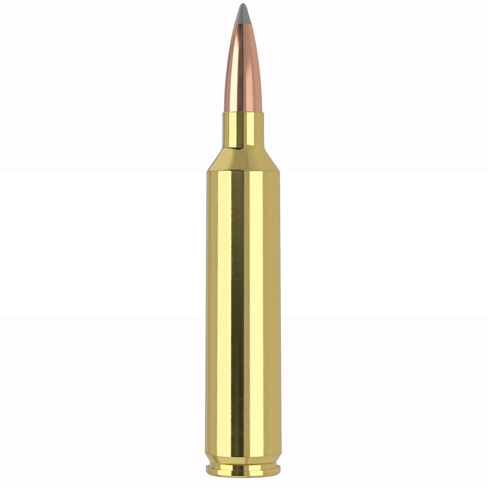 Nosler Trophy Long Range 26 142gr AccuBond 20 Round Box 60122