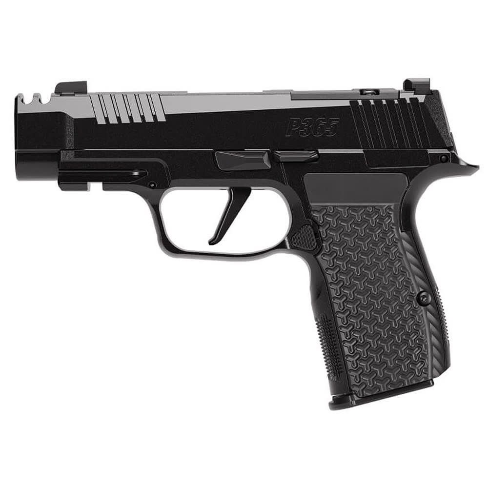 Sig Sauer P365-AXG Luxe .380 Auto 3.1" Bbl SS Slide XRAY3 D/N Sights Flat Trg Pistol w/12rd Mag 365AXG-380-COMP-LUXE