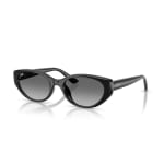 Ray-Ban Black Grey Gradient 0RB4457D-66771155
