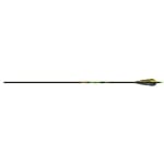 Gold Tip Hunter XT 500 Arrow w/4" Feathers 6pk HXT500F6