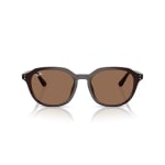 Ray-Ban Opal Brown Dark Brown 0RB4459D-62317354