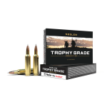 Nosler Trophy Grade TGA - 22 Nosler 70g AB SP (20ct) Ammunition 60918