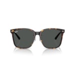 Ray-Ban Havana Dark Grey 0RB2206D-7108757