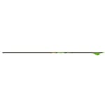 Gold Tip Hunter XT 250 Arrow w/2" Raptor Vanes 12pk HXT250A2