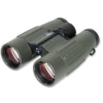 Zeiss Victory 10x42 T* FL LT Green Binocular 524552 524552