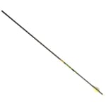 Gold Tip Hunter XT 500 Arrow w/2" Raptor Vanes 6pk HXT500A26