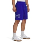 Under Armour Men's Tech Graphic Royal/White Shorts 1306443-40300 - Main Image