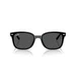 Ray-Ban Black Dark Grey 0RB4461D-6018764
