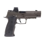 Sig Sauer P320 AXG Legion 9mm Luger 3.9" Bbl Striker X-Ray 3 SIG-LOC PRO AXG Modular Grip Magwell Gray Pistol w/(3) 10rd Mags 320AXGF-9-LEGION-RXSL-10 - Main Image