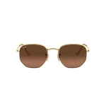 Ray-Ban Hexagonal Arista Brown Gradient Grey 0RB3548N-91244348