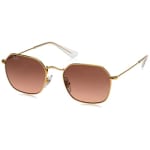 Ray-Ban Arista Pink Gradient Grey 0RJ9594S-2234649