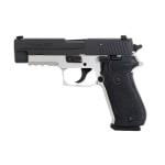 Sig P220 Pistol .45 ACP Two Tone 220R-45-RTSS