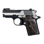 EQUINOX, Two-Tone Polished Nitron Finish, TRUGLO / SIGLITE Night Sights, Blackwood Grips---Same as E 238-380-EQ-AMBI