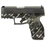 Taurus GX2 9mm 3.38" Bbl Blade Front/Adjustable Rear Sights TORO Black Eagle EN1 Pistol w/(2) 10rd Mags 1-GX2931-10EN1 - Main Image