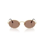 Ray-Ban Oval Arista Light Violet 0RB3547-0011A51