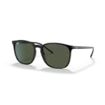 Ray-Ban Black Dark Green 0RB4387-6017156