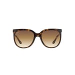 Ray-Ban Cats 1000 Light Havana Clear Gradient Brown 0RB4126-7105157