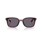 Ray-Ban Transparent Dark Brown Violet 0RB4461D-65937364