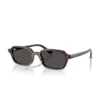 Ray-Ban Havana Dark Grey 0RB4455-13598749