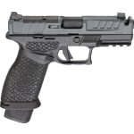 Springfield Armory Echelon Pro 4.0FC 9mm 4" Bbl Tritium Front Sight U-Dot Rear Sight Black/Grey Pistol w/(3) 20rd Mags ECP9409BYFC-COMP - Main Image