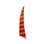 Black Eagle 4" Feather Flo Orange Barred 36pk 1140 - Main Image