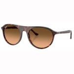 Ray-Ban Havana Red Turtle Pink Gradient Black 0RB2215-14293B56