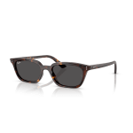 Ray-Ban Havana Dark Grey 0RB4456-13598753