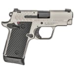 Springfield Armory 911 .380 ACP Titanium Pistol (w/ 2 magazines) PG9109T