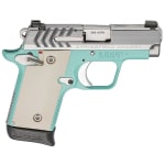 Springfield Armory 911 .380 ACP Vintage Blue / Stainless Pistol (w/ 2 magazines) PG9109VBS