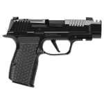 Sig Sauer P365-AXG Luxe .380 Auto 3.1" Bbl SS Slide XRAY3 D/N Sights Flat Trg Pistol w/12rd Mag 365AXG-380-COMP-LUXE