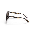 Ray-Ban 0RB4378 Polished Havana Sunglasses w/Gradient Brown Lenses 0RB4378-710/13-54