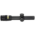 Trijicon TR24 AccuPoint 1-4x24 Amber Triangle