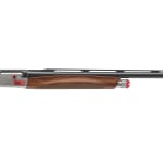 Benelli Ethos Field 12ga 3" 30" AA-Grade Satin Walnut Brushed Nickel Receiver 4+1 Semi-Auto Shotgun 12600 - Additional Image 2