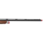 Benelli Ethos Field 12ga 3" 30" AA-Grade Satin Walnut Brushed Nickel Receiver 4+1 Semi-Auto Shotgun 12600 - Additional Image 3