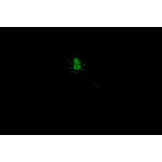 Badger Ordnance Condition One Nightcap Elevation Turret Black Illuminating Ring Cap for 34mm/35mm Standard C1 (Not Compatible w/C1 Max) 700-50 - Additional Image 2