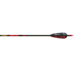 Gold Tip Hunter XT 340 Arrow w/4" Feathers 6pk HXT340F6